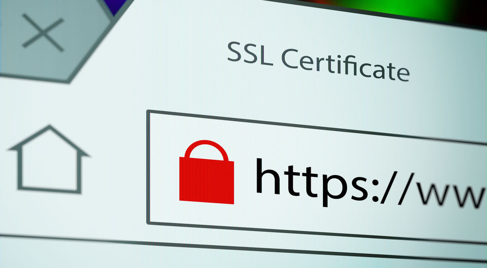 SSL certificate