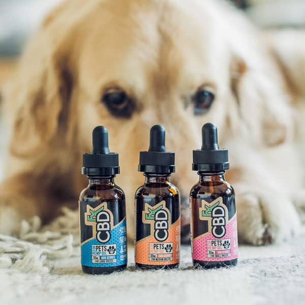 CBD Oils For Dog